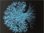 Samarretes d'impressió de tinta